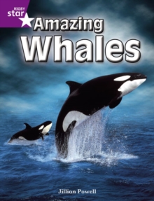 Image for Rigby Star Independent Year 2 Purple Non Fiction: Amazing Whales Single