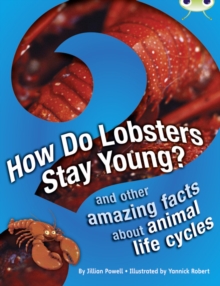 Image for Bug Club Independent Non Fiction Year 3 Brown A How Do Lobsters Stay Young?