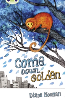 Image for Bug Club Independent Fiction Year 3 Brown A Come Down, Golden