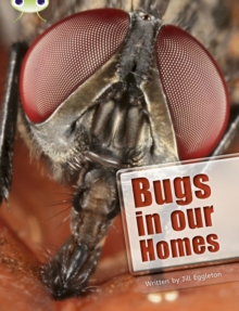 Image for Bug Club Independent Non Fiction Year Two Lime A Bugs in our Homes