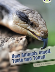 Image for How animals smell, taste and touch
