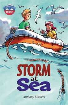 Image for Storm at sea