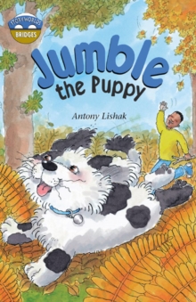 Image for Jumble the puppy