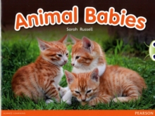 Image for Bug Club Red B (KS1) Animal Babies 6-pack