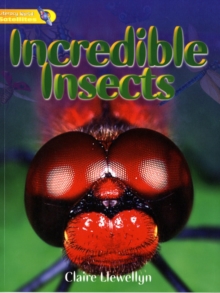 Image for Literacy World Satellites Non Fiction Stage1guided Reading Cards : Incredible Insects