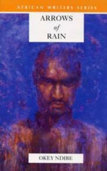 Image for Arrows of Rain