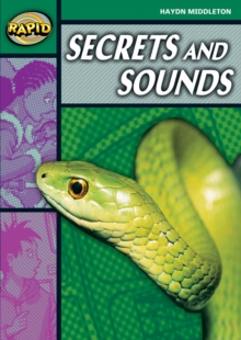 Image for Secrets and sounds