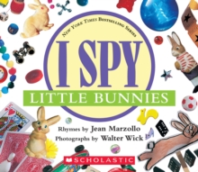 Image for I Spy Little Bunnies (with foil)
