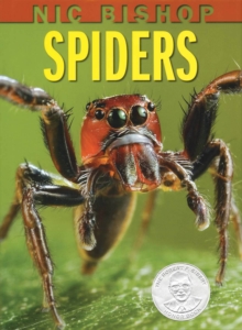 Image for Nic Bishop: Spiders