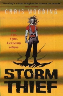 Image for Storm Thief