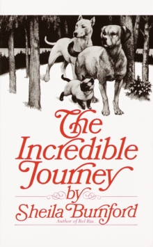 Image for Incredible Journey