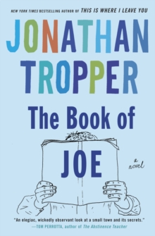 Image for The book of Joe