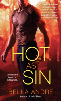 Image for Hot as sin: a novel