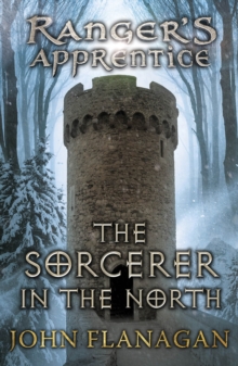 Image for The sorcerer in the north