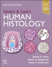 Image for Stevens & Lowe's Human Histology