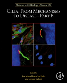 Image for Cilia: From Mechanisms to Disease–Part B