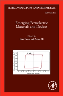 Image for Emerging Ferroelectric Materials and Devices