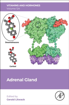 Image for Adrenal glandVolume 124
