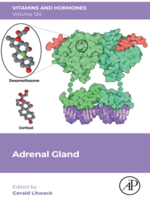 Image for Adrenal Gland. Volume 124