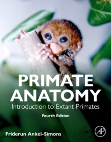 Image for Primate anatomy  : introduction to extant primates