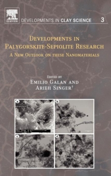 Image for Developments in Palygorskite-Sepiolite Research