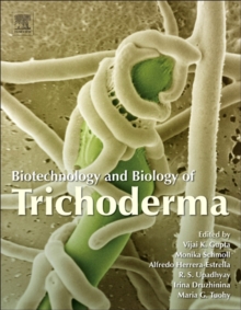 Image for Biotechnology and biology of trichoderma