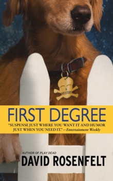 Image for First Degree