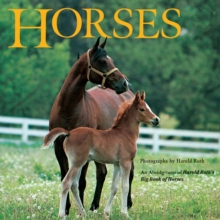Image for Horses : An Abridgement of Harold Roth's Big Book of Horses