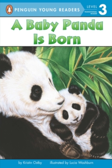 Image for A Baby Panda Is Born