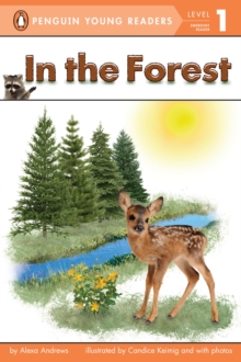 Image for In the Forest