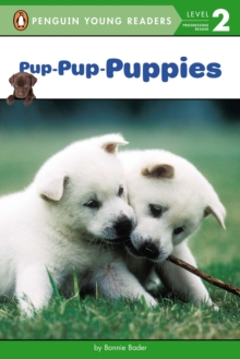Image for Pup-Pup-Puppies