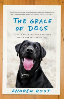Image for The Grace of Dogs