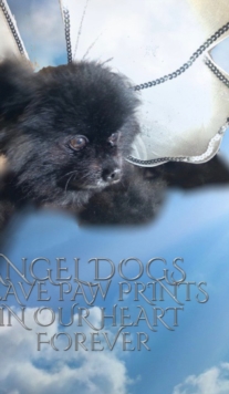 Image for Angel Dog Journal : Angel Dogs leave paw prints in our heart forever creative journal