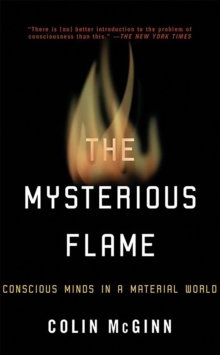Image for The Mysterious Flame