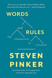 Image for Words and Rules: The Ingredients Of Language
