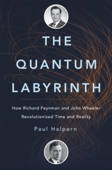 Image for The Quantum Labyrinth