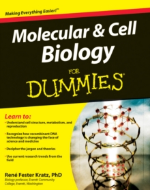 Image for Molecular & cell biology for dummies