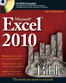 Image for Excel 2010 Bible