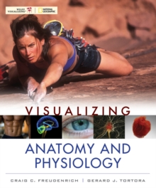 Image for Visualizing anatomy and physiology