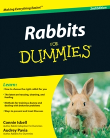 Image for Rabbits for Dummies