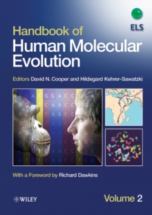 Image for Handbook of Human Molecular Evolution, 2 Volume Set