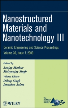 Image for Nanostructured Materials and Nanotechnology III
