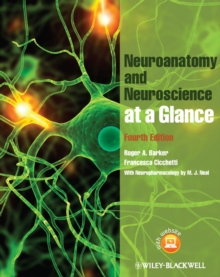 Image for Neuroanatomy and neuroscience at a glance