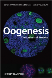 Image for Oogenesis  : the universal process