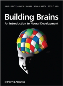 Image for Building Brains