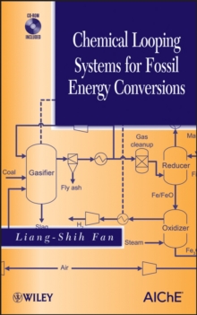 Image for Chemical Looping Systems for Fossil Energy Conversions