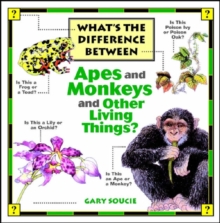 Image for What's the Difference Between Apes and Monkeys and Other Living Things?