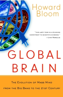 Image for Global brain  : the evolution of mass mind from the Big Bang to the 21st century