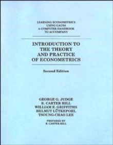 Image for Introduction to the Theory and Practice of Econometrics