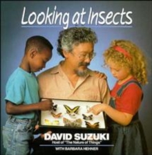 Image for Looking at Insects